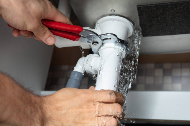 Best Water damage restoration near me  in West Lealman, FL
