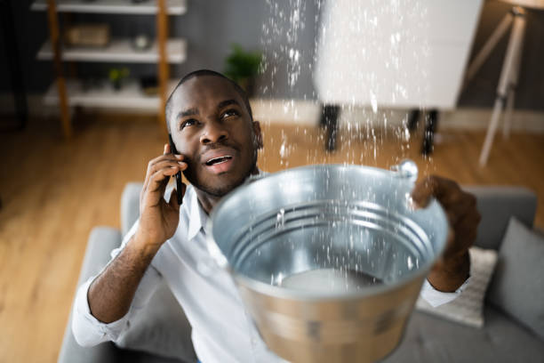 Best Basement water damage restoration  in West Lealman, FL