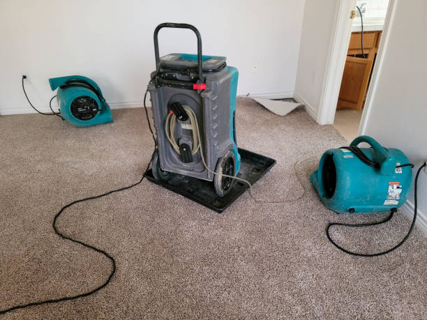 Best Water damage restoration specialists  in West Lealman, FL