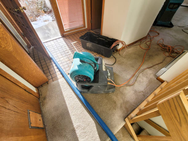 Professional Water damage restoration in West Lealman, FL