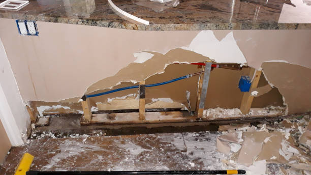 Best Water damage restoration process  in West Lealman, FL