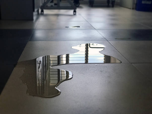 Best Commercial water damage restoration  in West Lealman, FL