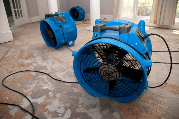 Best Water damage restoration company  in West Lealman, FL