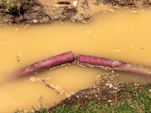Best Residential water damage restoration  in West Lealman, FL