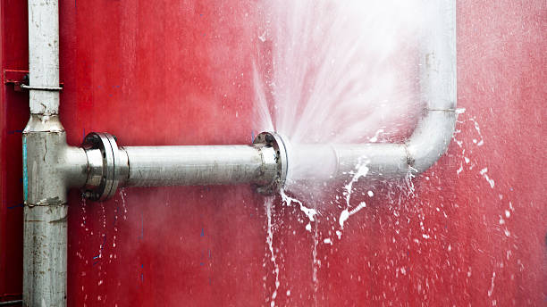 Best Water damage restoration services  in West Lealman, FL